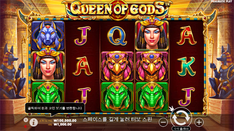 조커 레이스